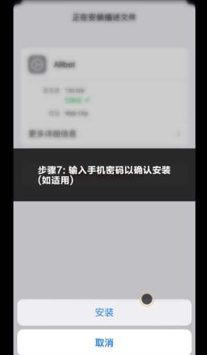 欧博iOS应用安装与部署流程图示7